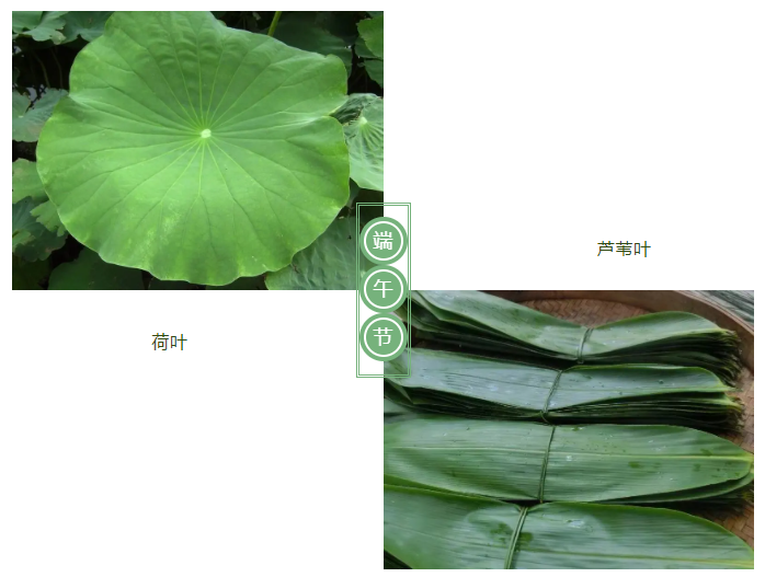 k8凯发医纺
