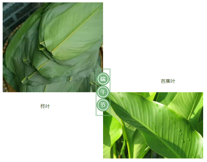k8凯发医纺