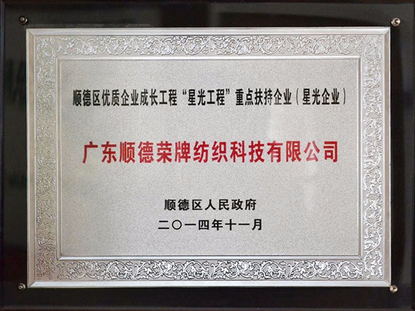 k8凯发-2012年获顺德政府颁发“星光企业”称号