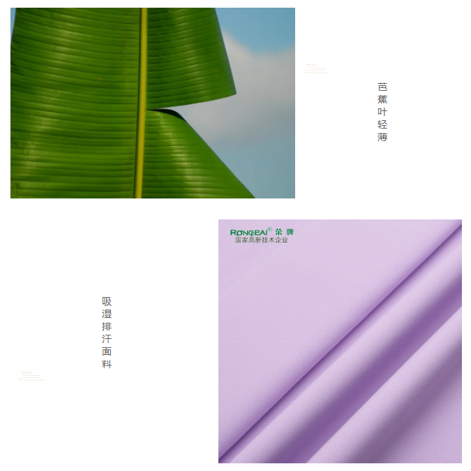 k8凯发医纺