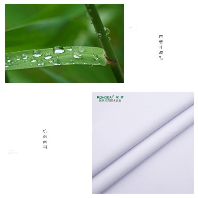 k8凯发医纺
