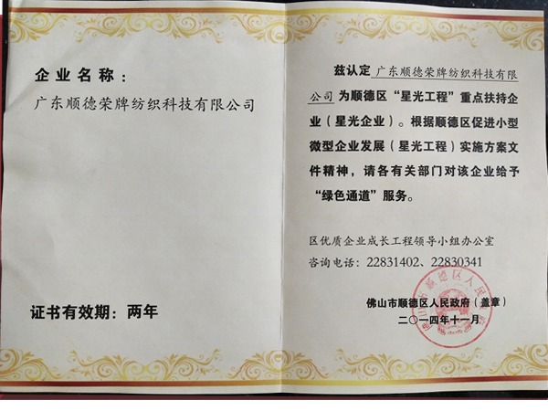 k8凯发荣获政府重点扶持企业